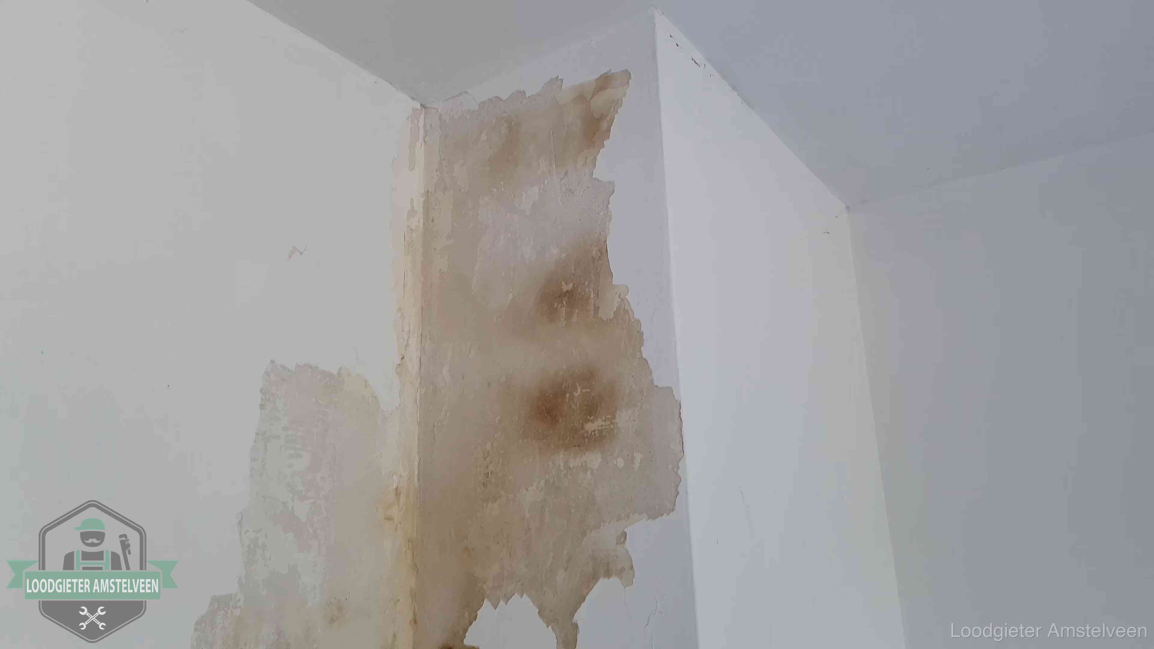 Bruine vochtkringen en afbladderend stucwerk op een binnenmuur in Amstelveen, een eerste teken van daklekkage