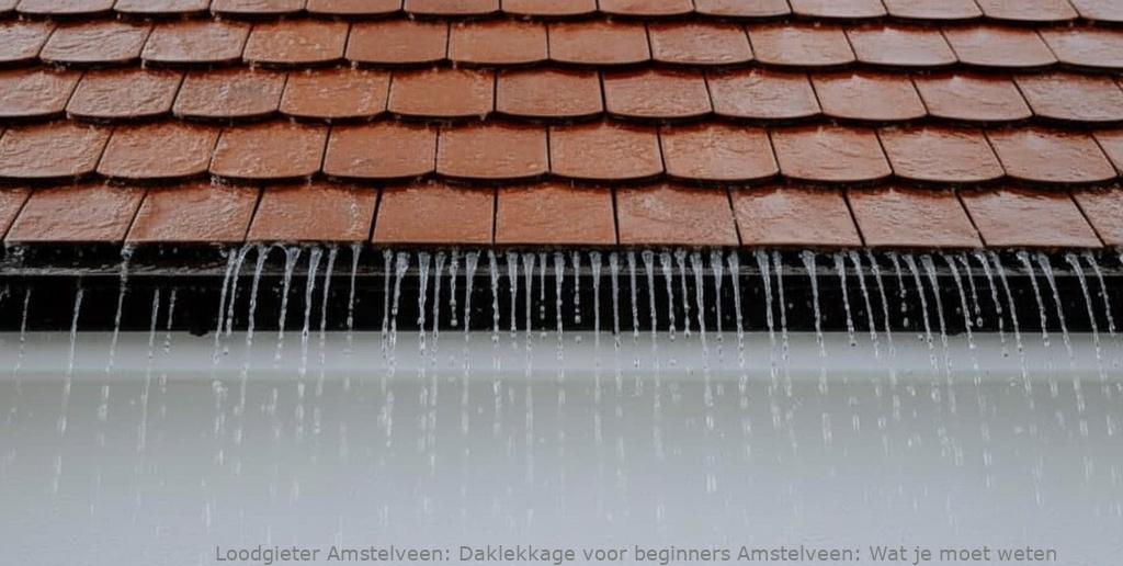 Daklekkage Voor Beginners Amstelveen
