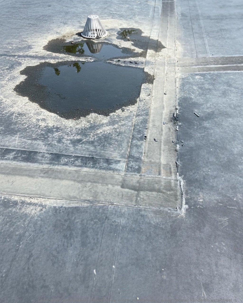 Daklekkage Winter Amstelveen
