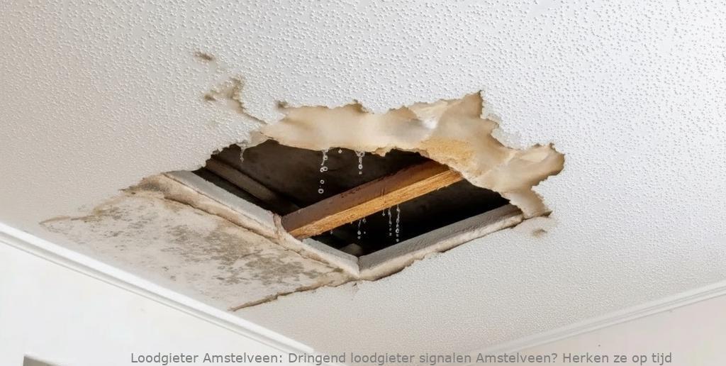 Dringend Loodgieter Signalen Amstelveen