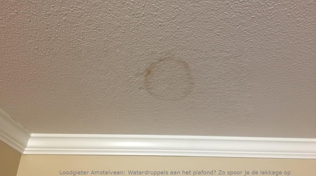 Lekkage Plafond Amstelveen