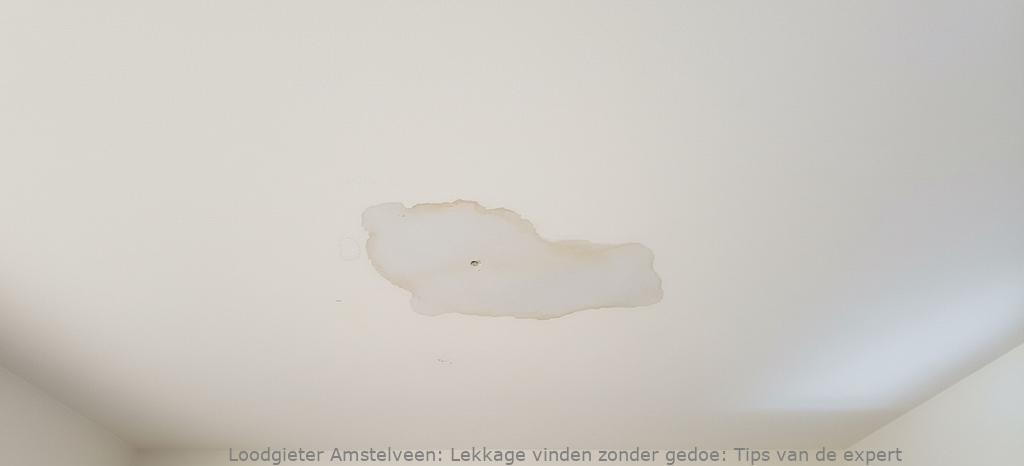 Lekkage Vinden Amstelveen