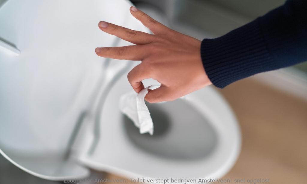 Toilet Verstopt Bedrijven Amstelveen