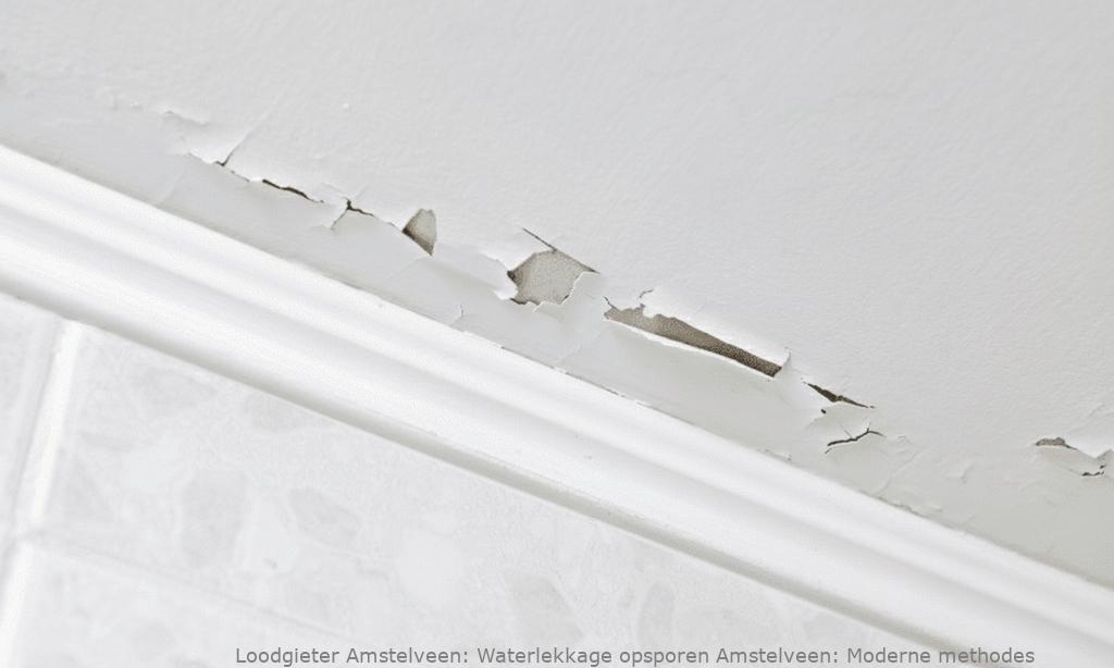 Waterlekkage Opsporen Amstelveen 1