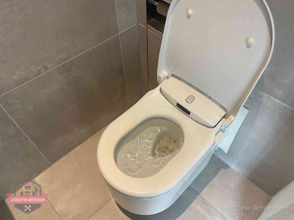 Wc Verstopt In Amstelveen